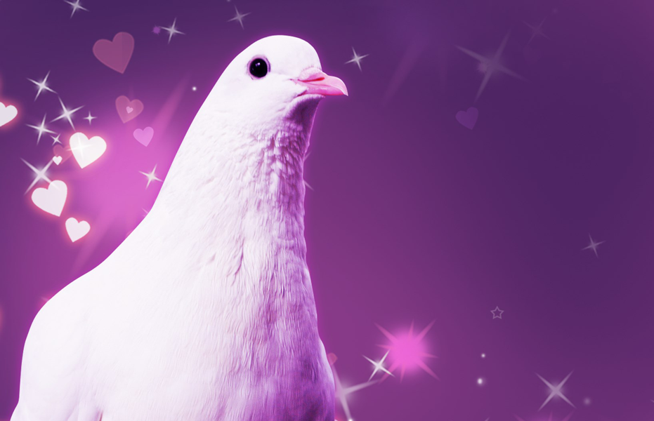 Hatoful Boyfriend