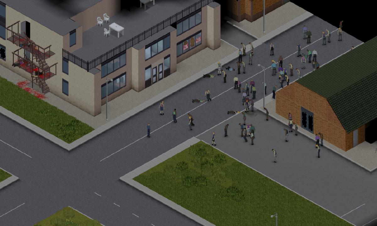 Project Zomboid